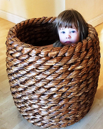 Barrel of Monkey