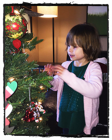 Tree!