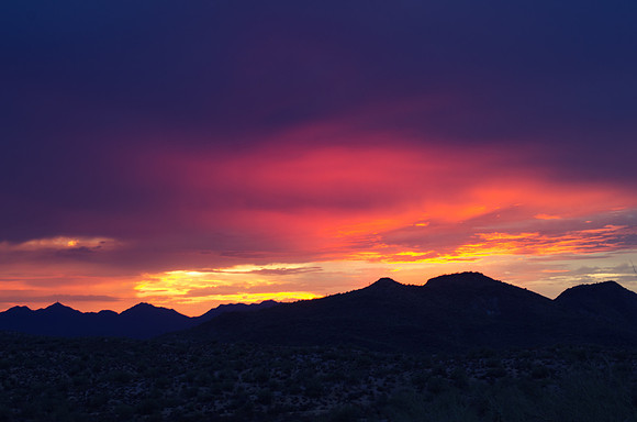 _DSC7643-Edit