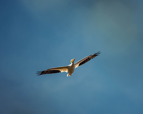 _DSC4679-Edit