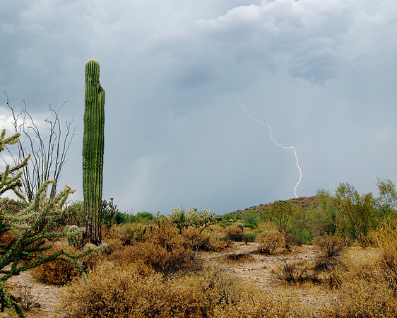 Seven Springs Lightning