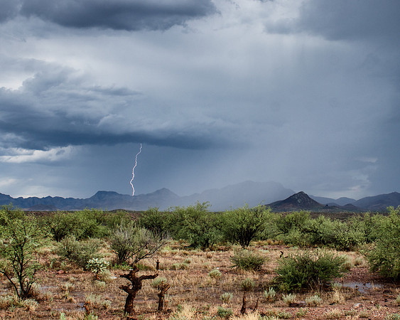 South from Arivaca Road