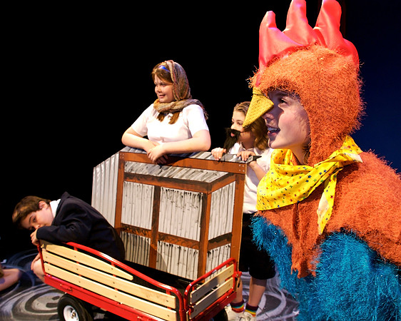 The Chicken