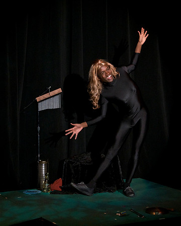 The Lady in the Leotard