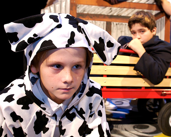The Cow