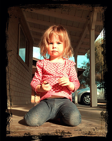 Counting Seeds