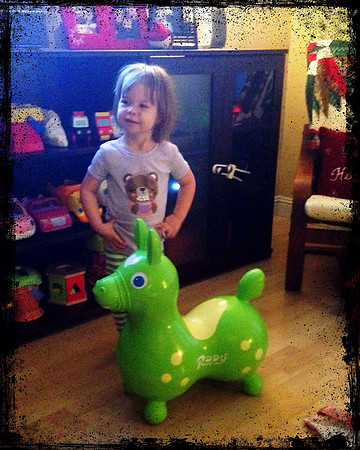 Rody the Hobby Horse