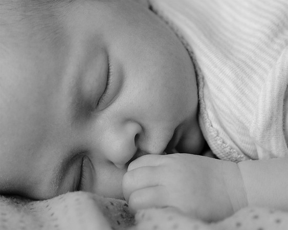 Sleeping Lily