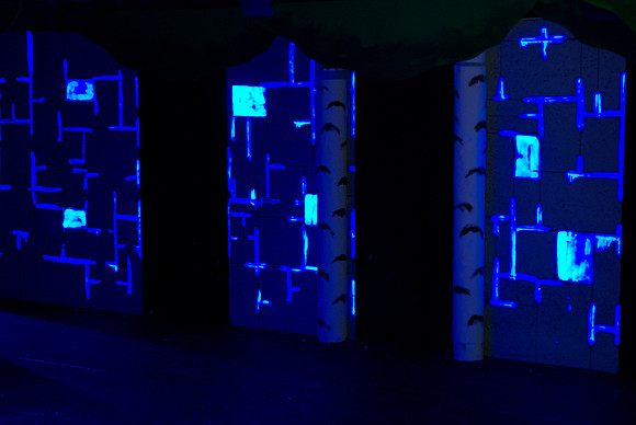 Blacklight Set