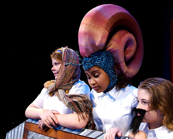 The Snail