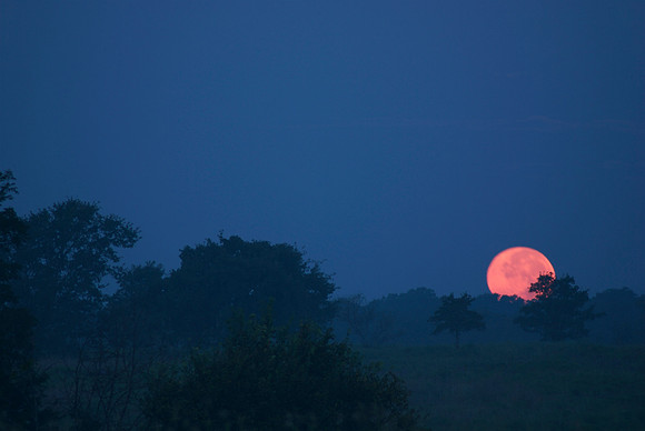 Moonset in Paradise